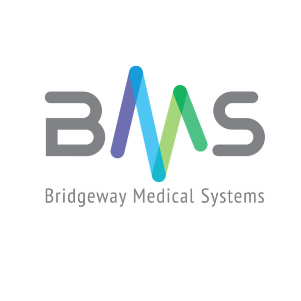 Bridgeway Medical Systems Bridgeway Medical Systems
